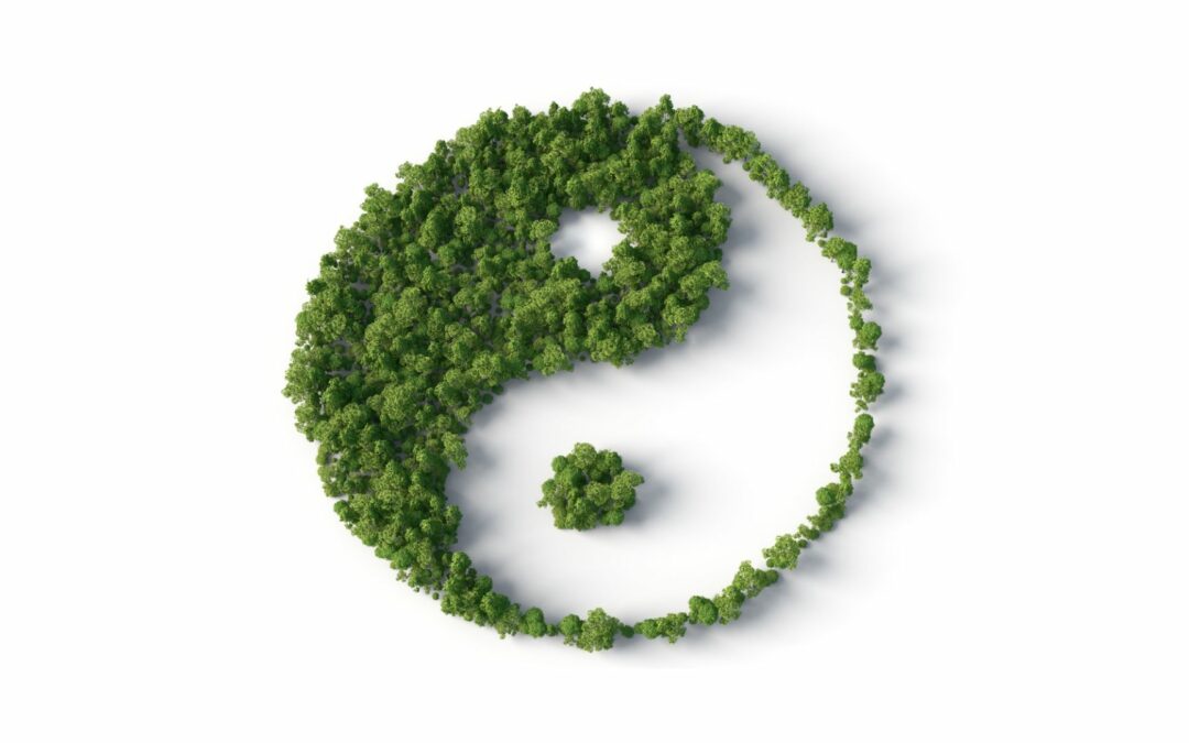 Unlocking the Benefits of a Traditional Chinese Medicine Diet