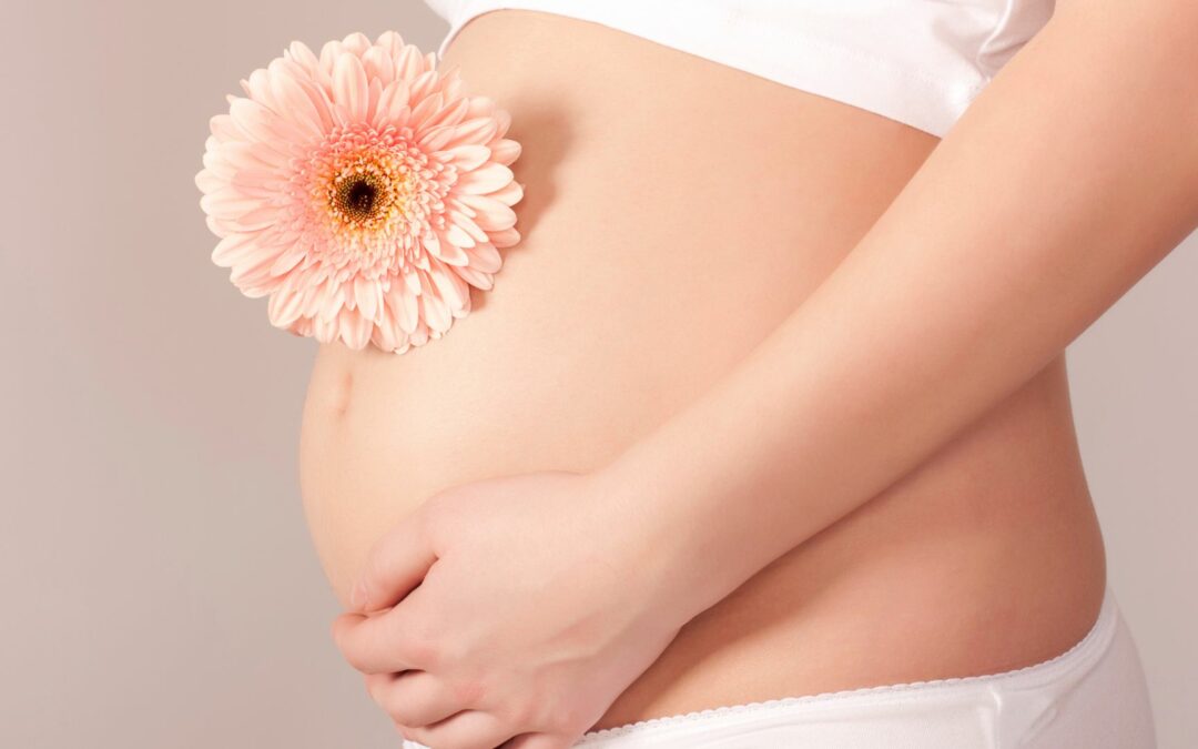 Herbs to Avoid During Pregnancy: A Comprehensive Guide