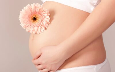 Herbs to Avoid During Pregnancy: A Comprehensive Guide
