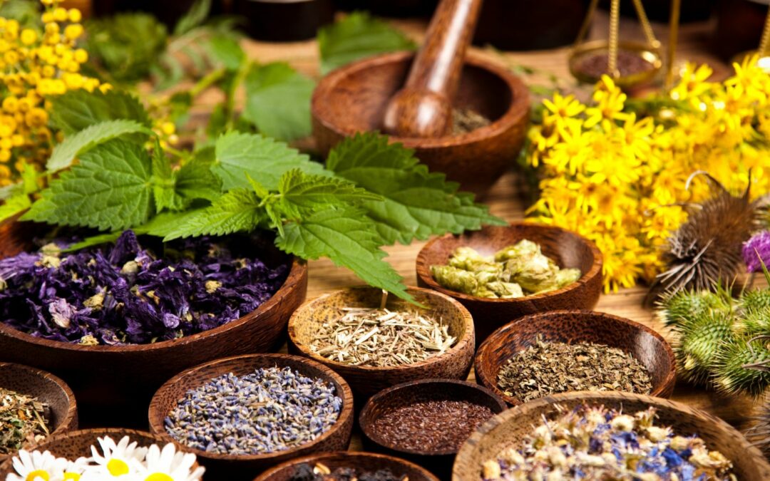 Herbal Remedies for Phlegm: Natural Ways to Clear Your Airways