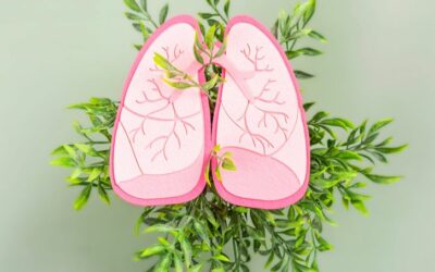 The Top TCM Herbs for Pneumonia: A Comprehensive Guide