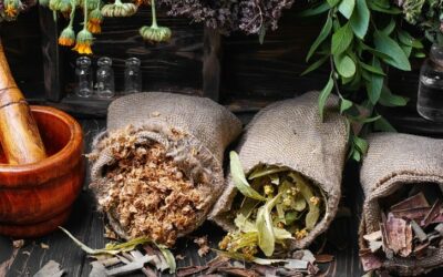 Top Herbs for Lactation: Boost Milk Supply Naturally