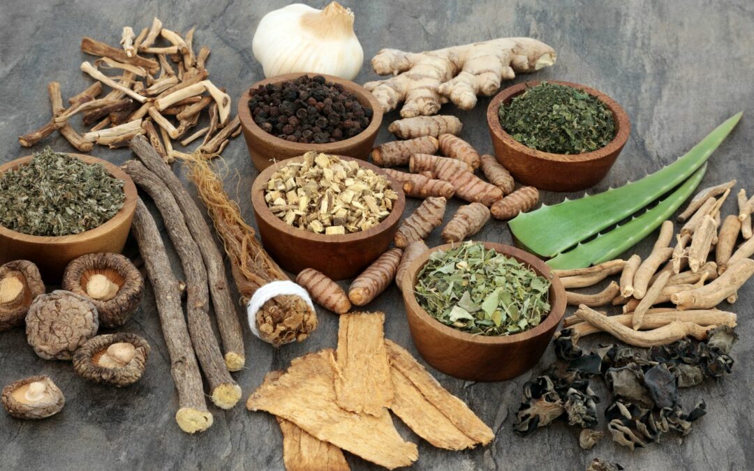 The Best Herbs for Asthma: Natural Remedies for Breathing Relief