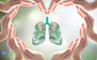 The Role of Traditional Chinese Medicine in Promoting Lung Health