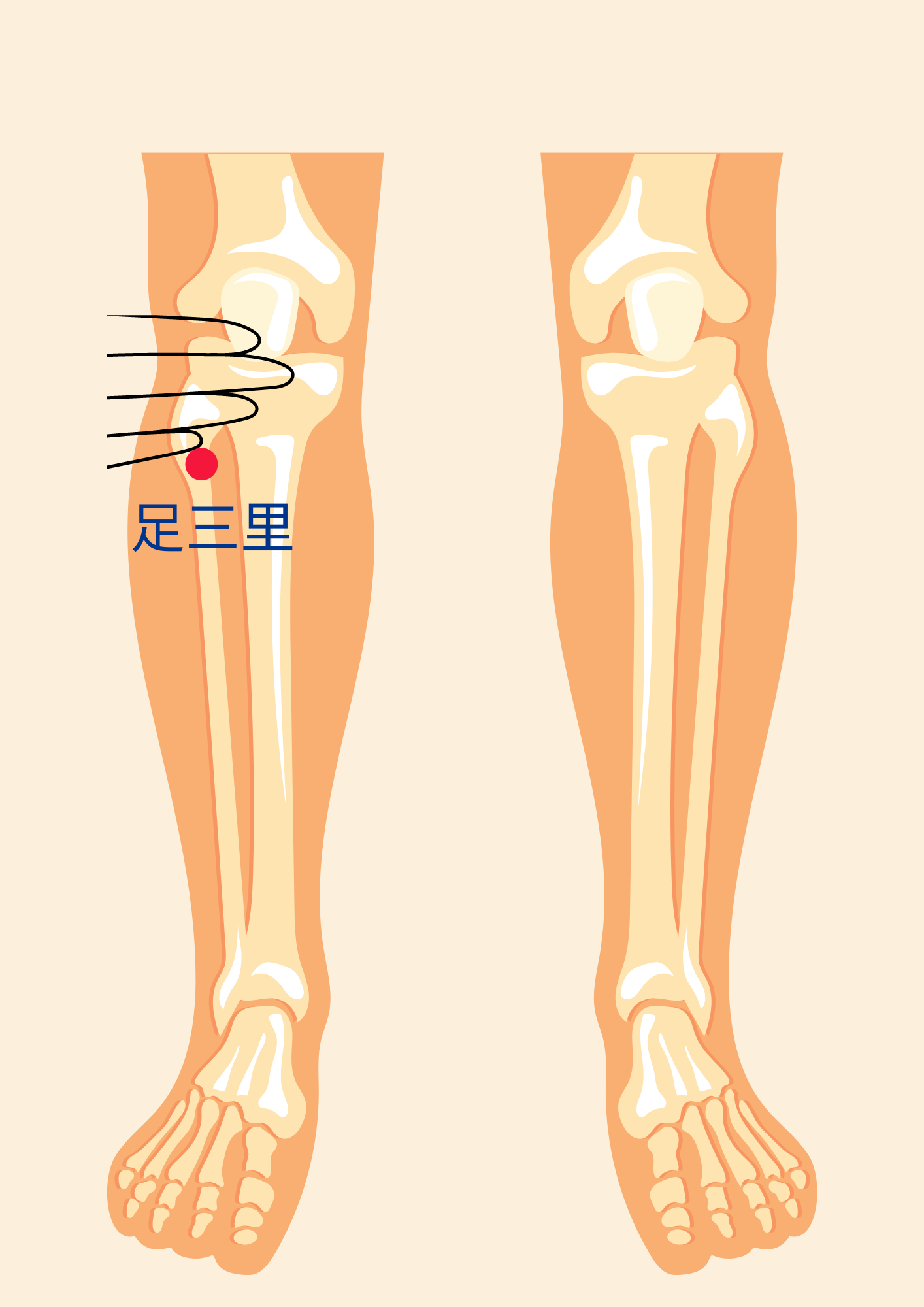 acupoint for knee arthritis-yin ling quan