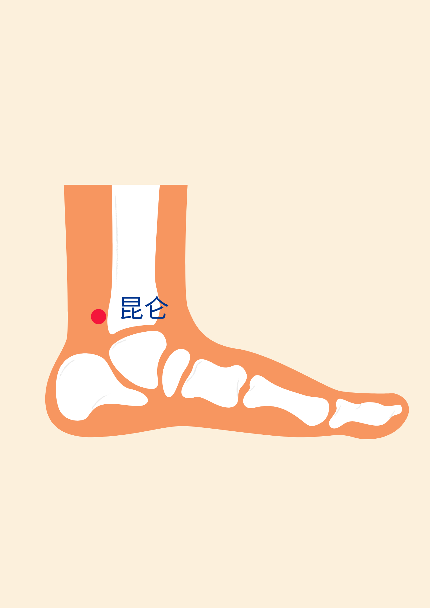 acupoint for knee arthritis-yin ling quan