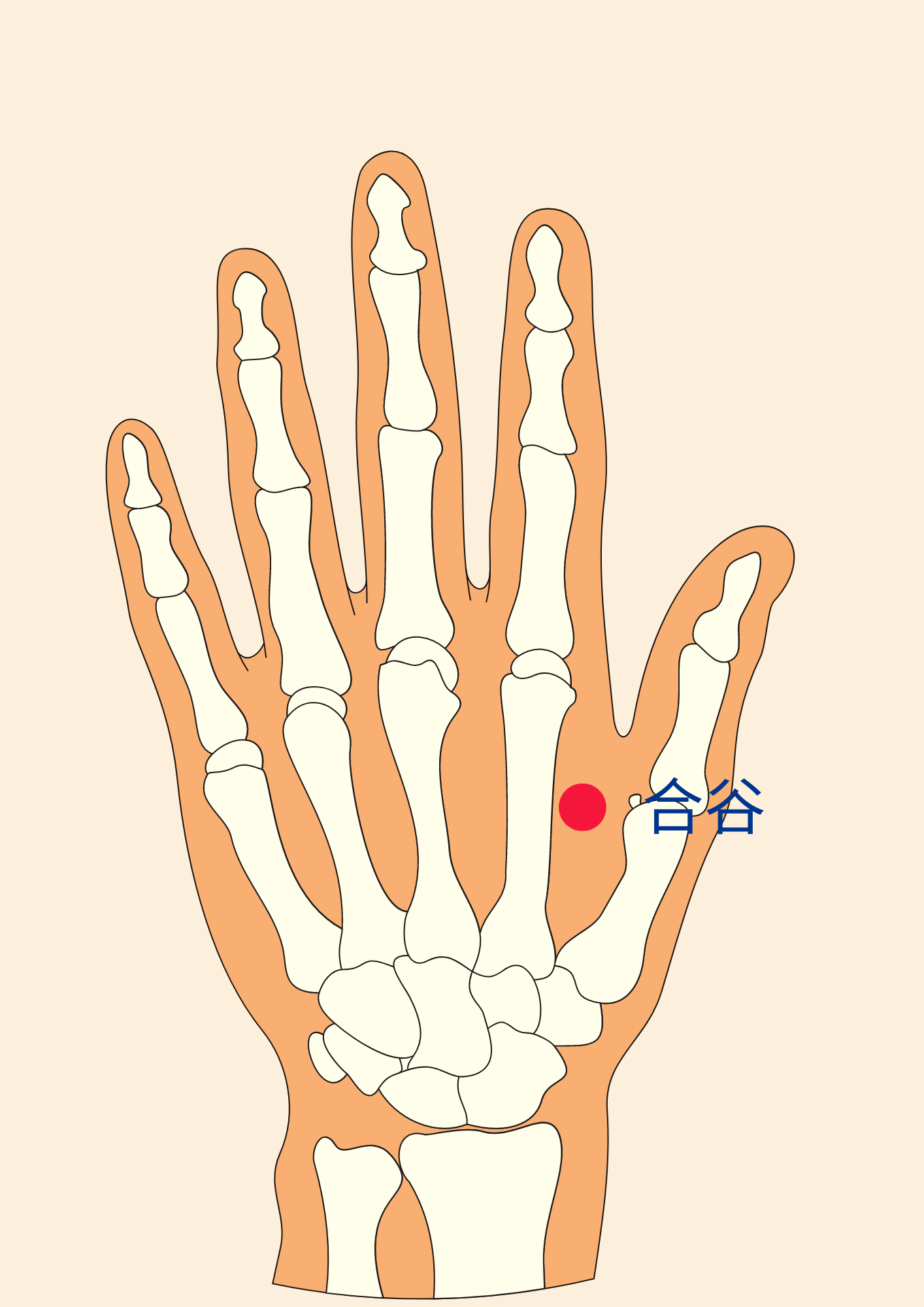 Acupoint for knee arthritis