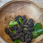 mulberries