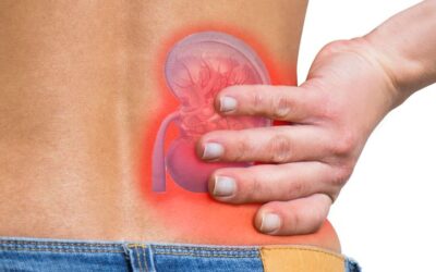 Kidney Yin & Yang Deficiency in TCM — Rebuilding Your Body’s Core Energy